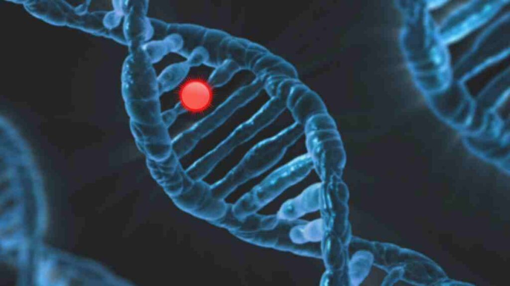 la depresión es hereditaria